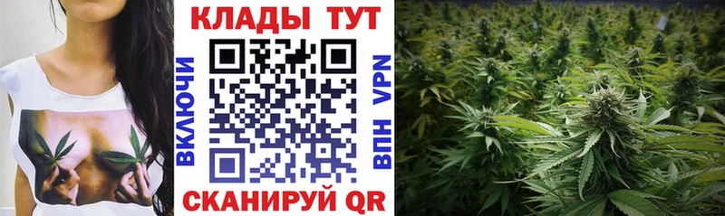 Как найти наркотики Балахна ГАШ  Кокаин  Меф мяу мяу  Бошки Шишки 