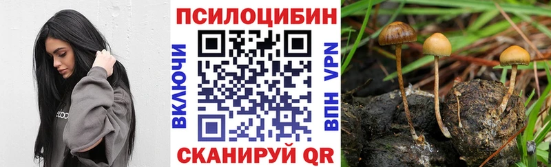 Галлюциногенные грибы ЛСД  Балахна 